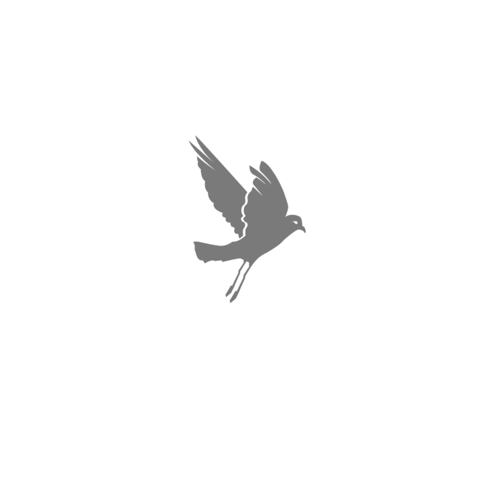 Academia Petrel